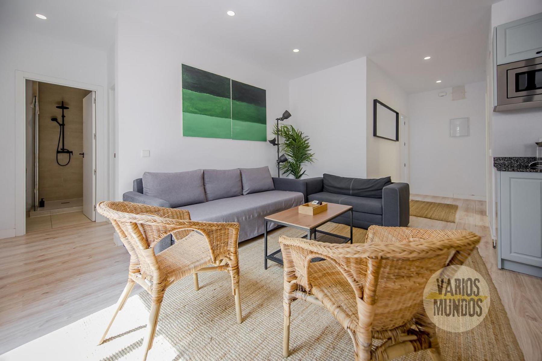Atico X9 Pax Con Gran Terraza En El La Latina Lejlighed Madrid Eksteriør billede